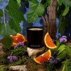 Blue Sage Candle | Blue Sage · Amber · Citrus Blossoms