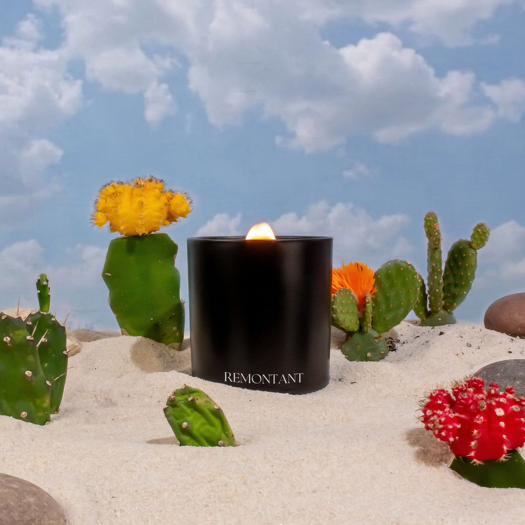 Desert Day Candle | Cactus · Geranium · Pink Pepper